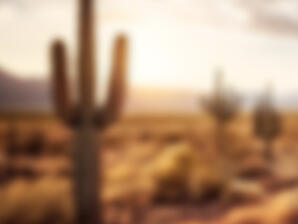 Biografie - Kurzfassung musikalische Laufbahn